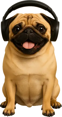 Ein Mops hat Kopfhörer auf.